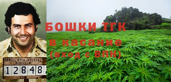 PSILOCYBIN Гусиноозёрск