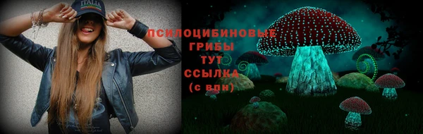 хмурый Дмитровск