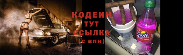 хмурый Дмитровск