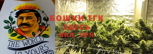 экстази Гусь-Хрустальный