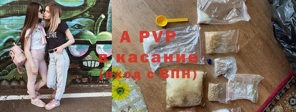 PSILOCYBIN Гусиноозёрск