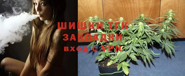 экстази Гусев